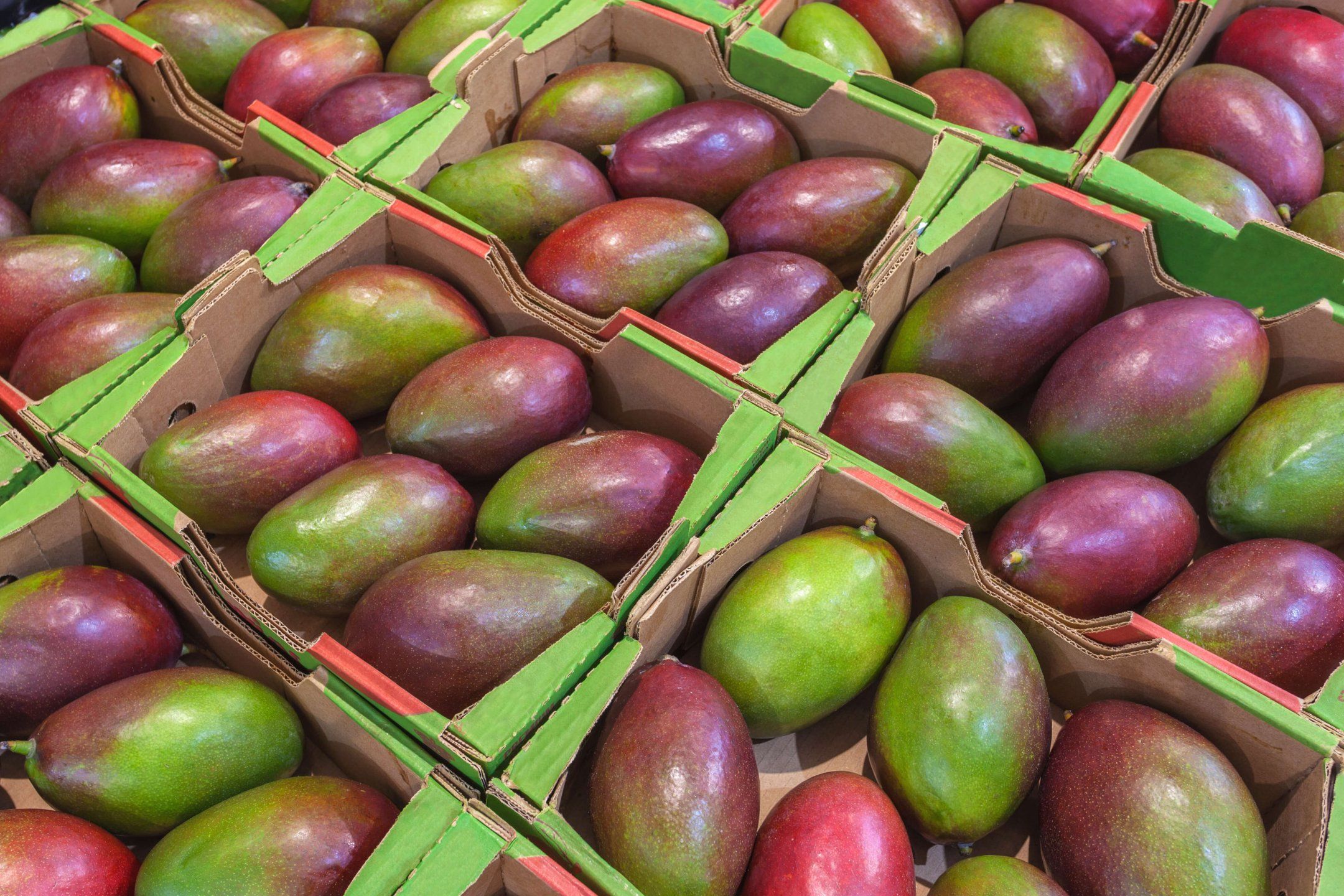 Mango quality